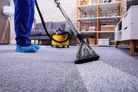 3 Popular Carpet Cleaning Companies You Need To Know